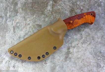 IMG_4800-X3.jpg